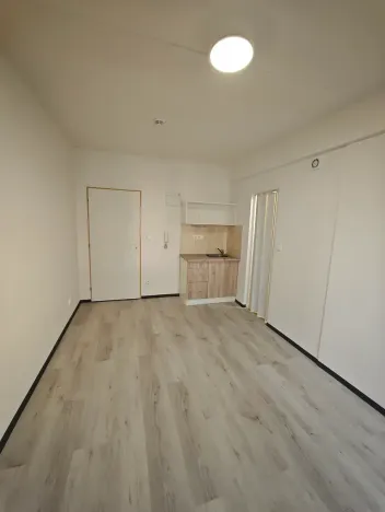 Pronájem bytu 1+kk, Praha - Hlubočepy, Na Zlíchově, 18 m2