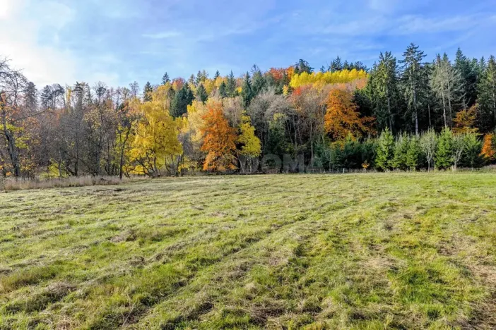 Prodej pozemku pro bydlení, Konstantinovy Lázně, 4110 m2