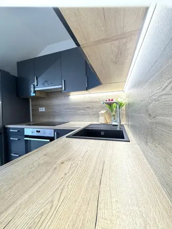 Pronájem bytu 2+kk, Brno, Letní, 56 m2