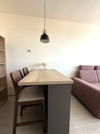Pronájem bytu 2+kk, Brno, Letní, 56 m2