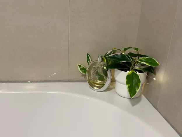 Pronájem bytu 2+kk, Brno, Letní, 56 m2