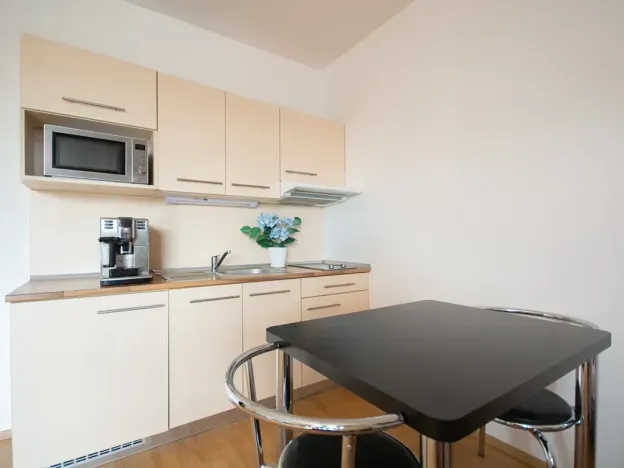 Pronájem bytu 1+kk, Brno, Božetěchova, 32 m2