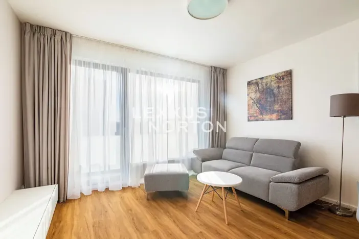 Pronájem bytu 2+kk, Praha - Karlín, Nekvasilova, 60 m2