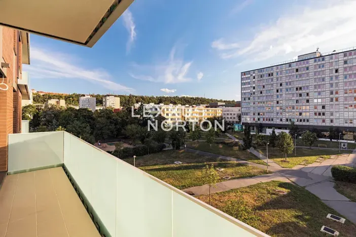 Pronájem bytu 2+kk, Praha - Karlín, Nekvasilova, 60 m2