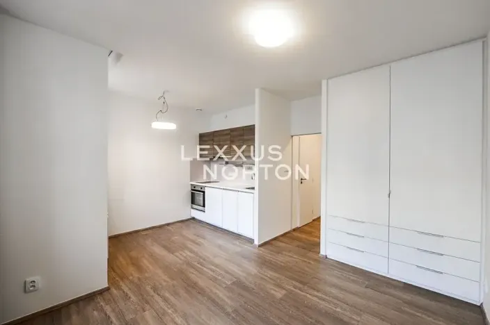 Pronájem bytu 1+kk, Praha - Vinohrady, Lucemburská, 30 m2
