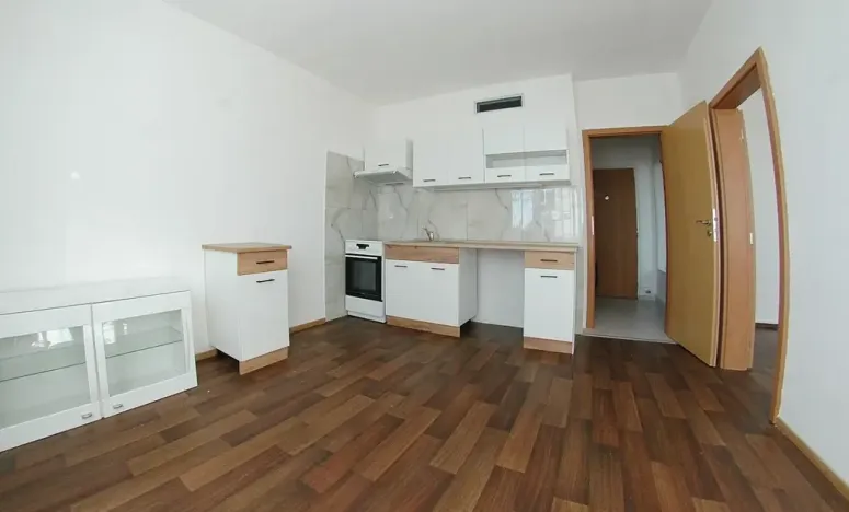Pronájem bytu 1+1, Plzeň, Dvořákova, 36 m2