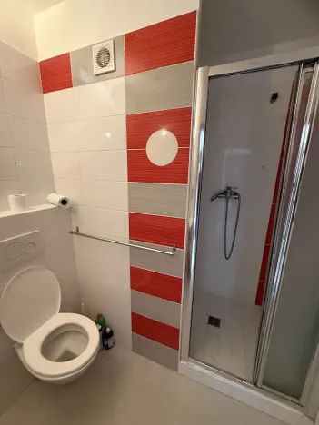 Pronájem bytu 1+1, Plzeň, Dvořákova, 36 m2