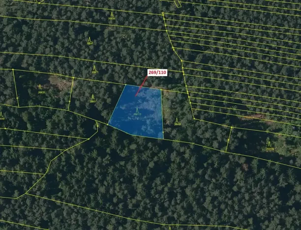 Dražba lesa, Břežany, 1701 m2