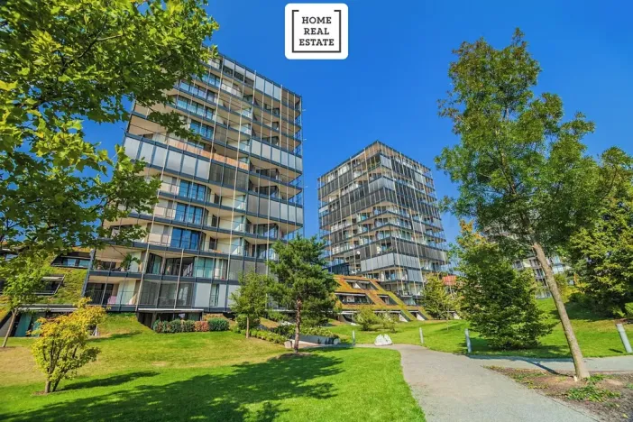 Prodej bytu 2+kk, Praha - Žižkov, Pitterova, 45 m2