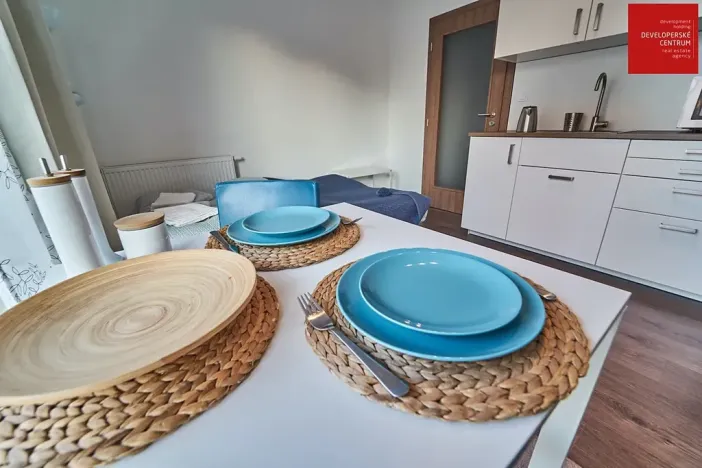 Pronájem bytu 1+kk, Mariánské Lázně, Dvořákova, 25 m2