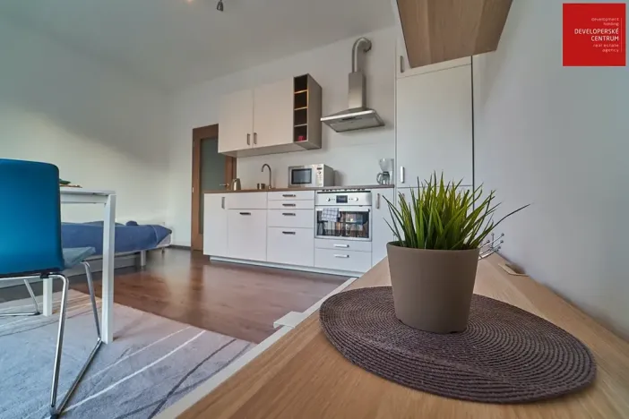 Pronájem bytu 1+kk, Mariánské Lázně, Dvořákova, 25 m2