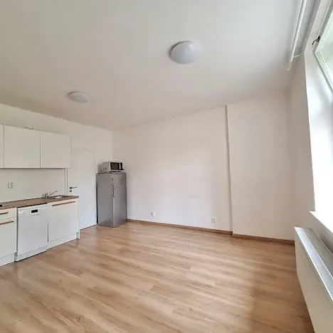 Pronájem bytu 1+kk, Praha - Bubeneč, U zeměpisného ústavu, 26 m2