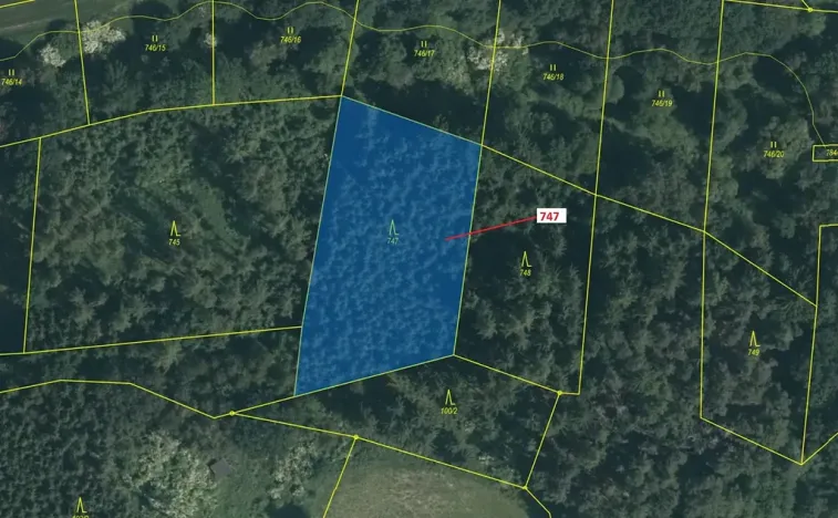 Dražba lesa, Zvěstov, 3010 m2