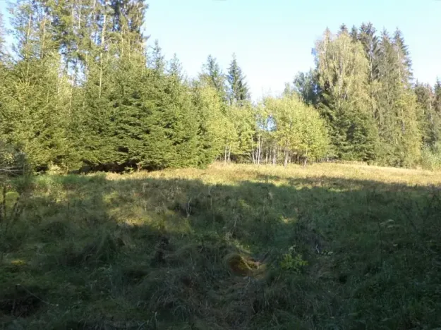 Dražba louky, Roztoky u Semil, 496 m2