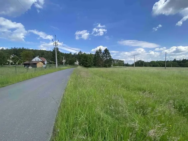 Dražba pole, Planá, 1400 m2