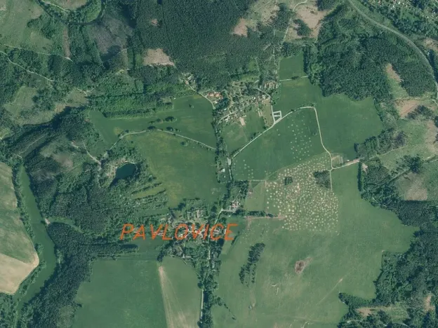 Dražba pole, Planá, 1400 m2