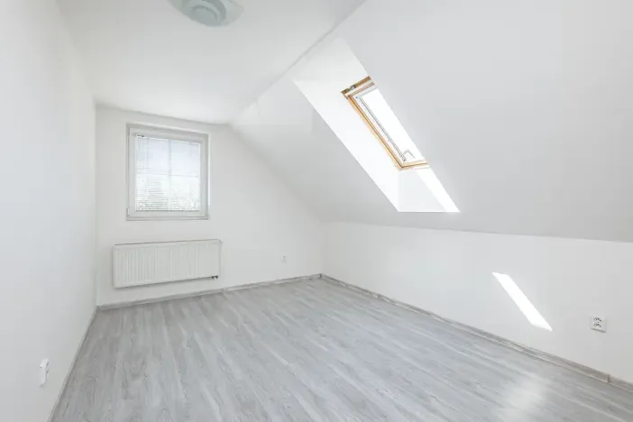 Prodej vícegeneračního domu, Mladá Boleslav, Viničná, 266 m2