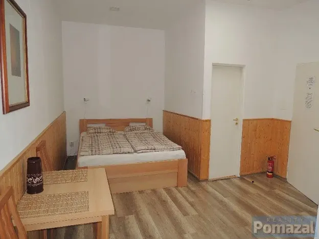 Pronájem bytu 1+kk, Praha - Staré Město, Národní, 18 m2