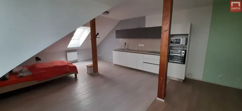 Pronájem bytu 3+kk, Olomouc, Horní Úlehla, 120 m2