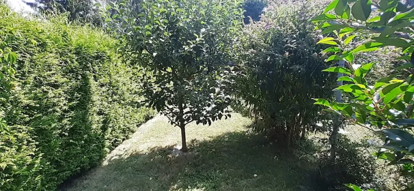 Prodej rodinného domu, Nupaky, K Parku, 130 m2
