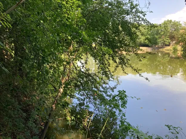 Prodej rodinného domu, Nupaky, K Parku, 130 m2