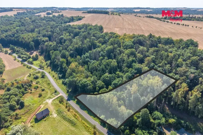 Prodej lesa, Tupadly, 5004 m2
