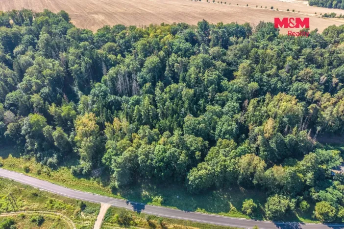 Prodej lesa, Tupadly, 5004 m2