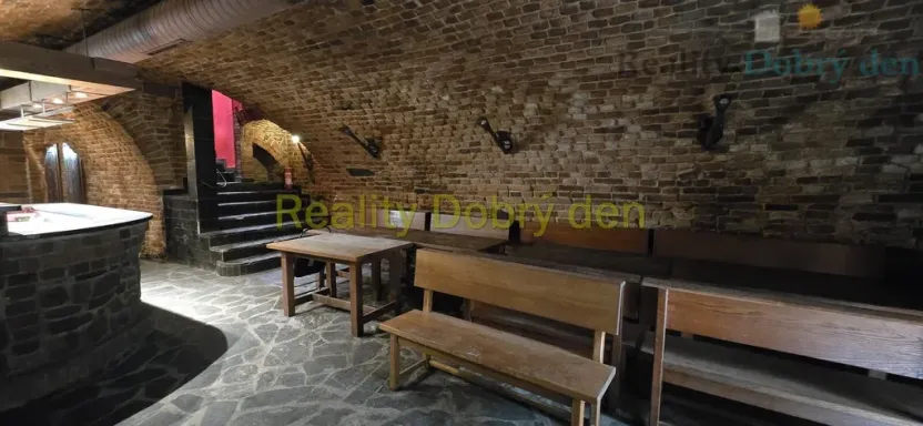 Pronájem restaurace, Opava, Dolní náměstí, 99 m2
