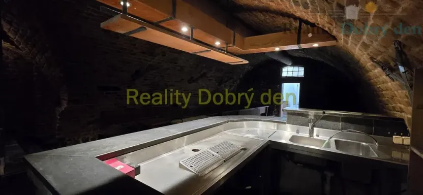 Pronájem restaurace, Opava, Dolní náměstí, 99 m2