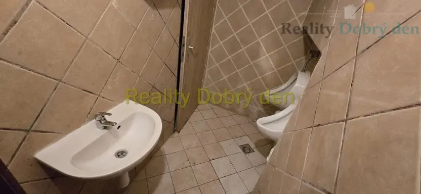 Pronájem restaurace, Opava, Dolní náměstí, 99 m2