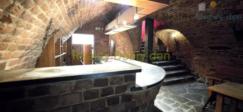 Pronájem restaurace, Opava, Dolní náměstí, 99 m2