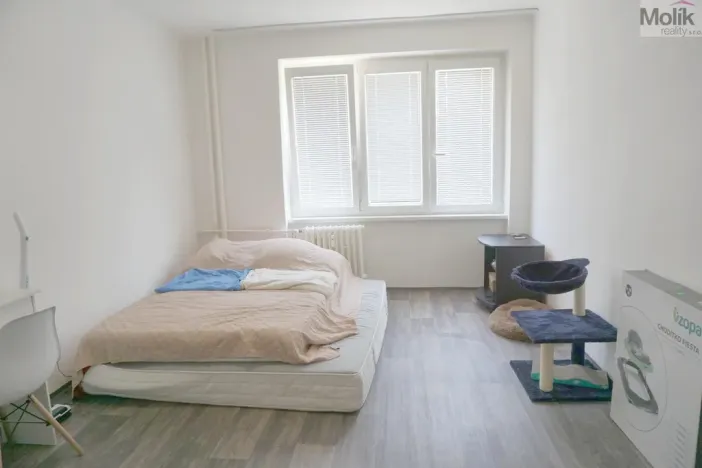 Prodej bytu 2+1, Most, Maxe Švabinského, 55 m2