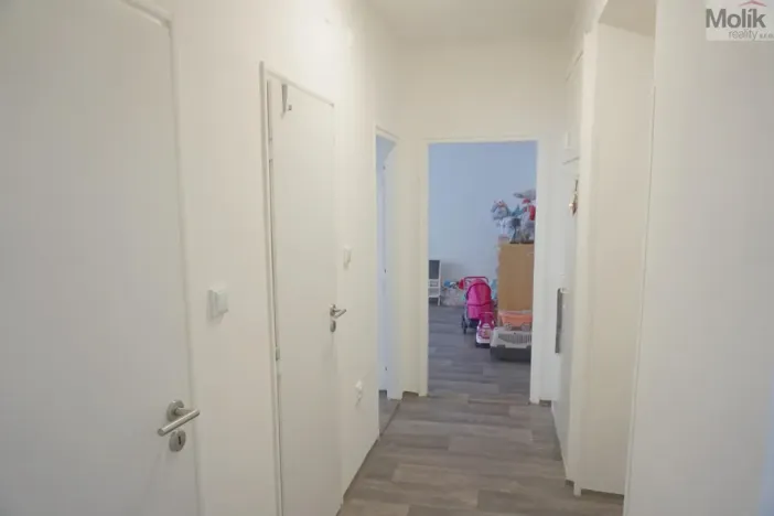 Prodej bytu 2+1, Most, Maxe Švabinského, 55 m2