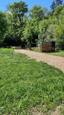 Prodej rybníku, Bulhary, 350 m2