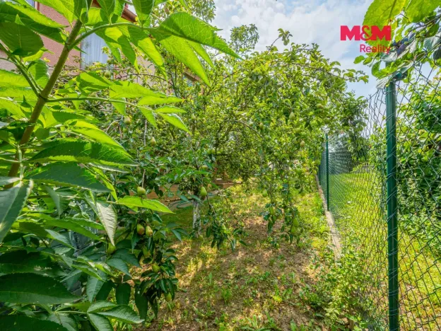 Prodej rodinného domu, Kozojedy, Zahradní, 160 m2