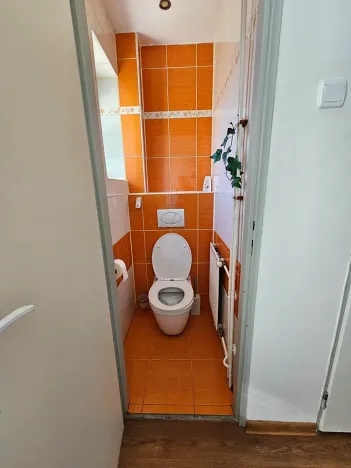 Pronájem vícegeneračního domu, Velká Polom, 100 m2