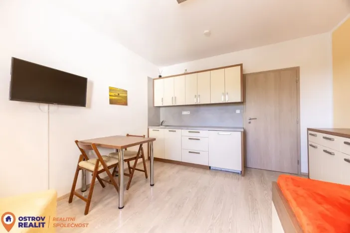 Pronájem bytu 1+kk, Loučná nad Desnou, 20 m2