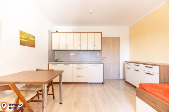 Pronájem bytu 1+kk, Loučná nad Desnou, 20 m2