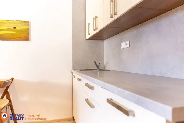 Pronájem bytu 1+kk, Loučná nad Desnou, 20 m2