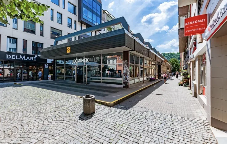 Pronájem bytu 2+kk, Praha - Karlín, U Mlýnského kanálu, 58 m2