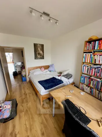 Pronájem bytu 4+kk, Dolní Břežany, K Břežanům, 124 m2