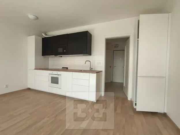 Pronájem bytu 1+kk, Praha - Žižkov, Olgy Havlové, 37 m2