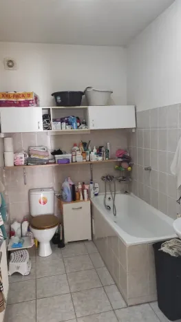 Pronájem bytu 4+kk, Cheb, Evropská, 106 m2