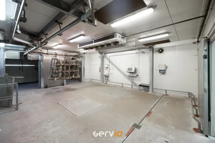 Prodej výrobních prostor, Tištín, 3100 m2