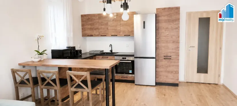 Pronájem bytu 2+kk, Plasy, U Václava, 55 m2