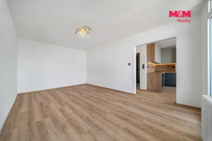 Prodej bytu 2+1, Plzeň - Doudlevce, 58 m2