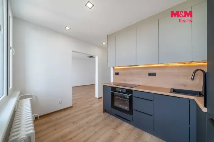 Prodej bytu 2+1, Plzeň - Doudlevce, 58 m2