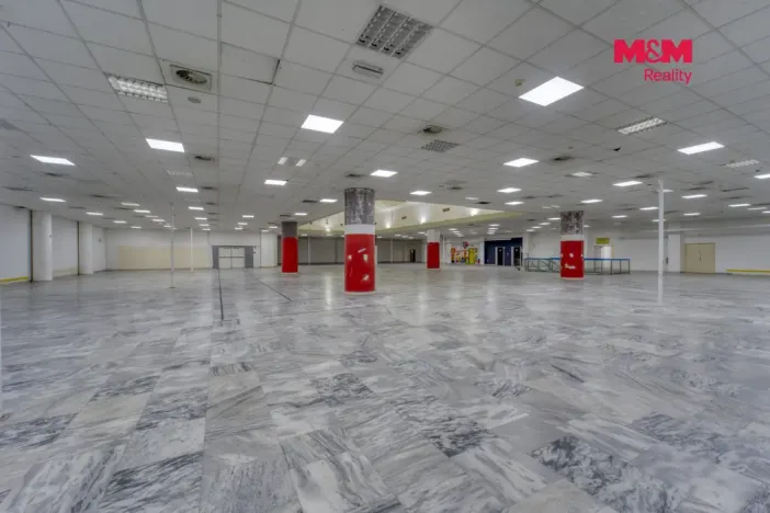 Pronájem obchodního prostoru, Plzeň - Východní Předměstí, Americká, 1603 m2