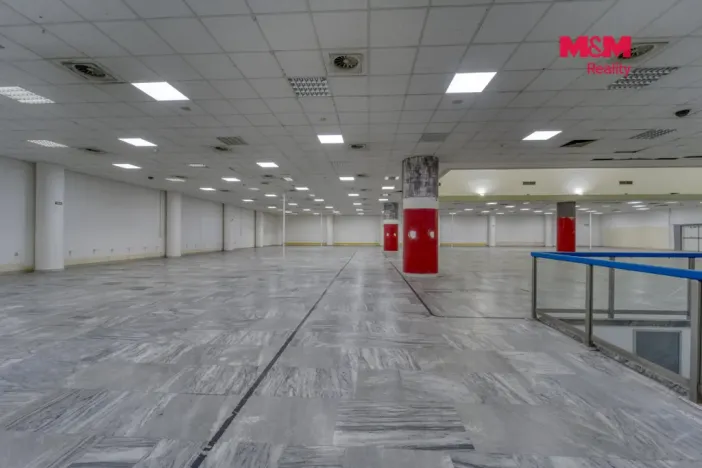 Pronájem obchodního prostoru, Plzeň - Východní Předměstí, Americká, 1603 m2