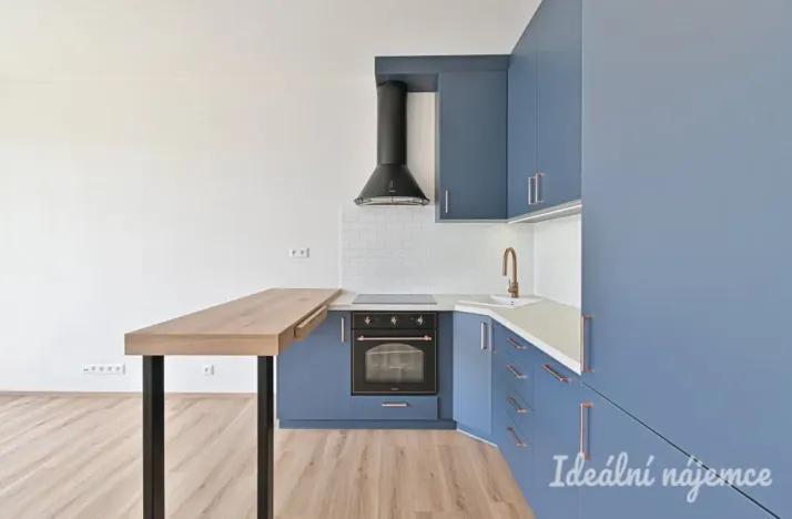 Pronájem bytu 2+kk, Brno, Rybářská, 52 m2